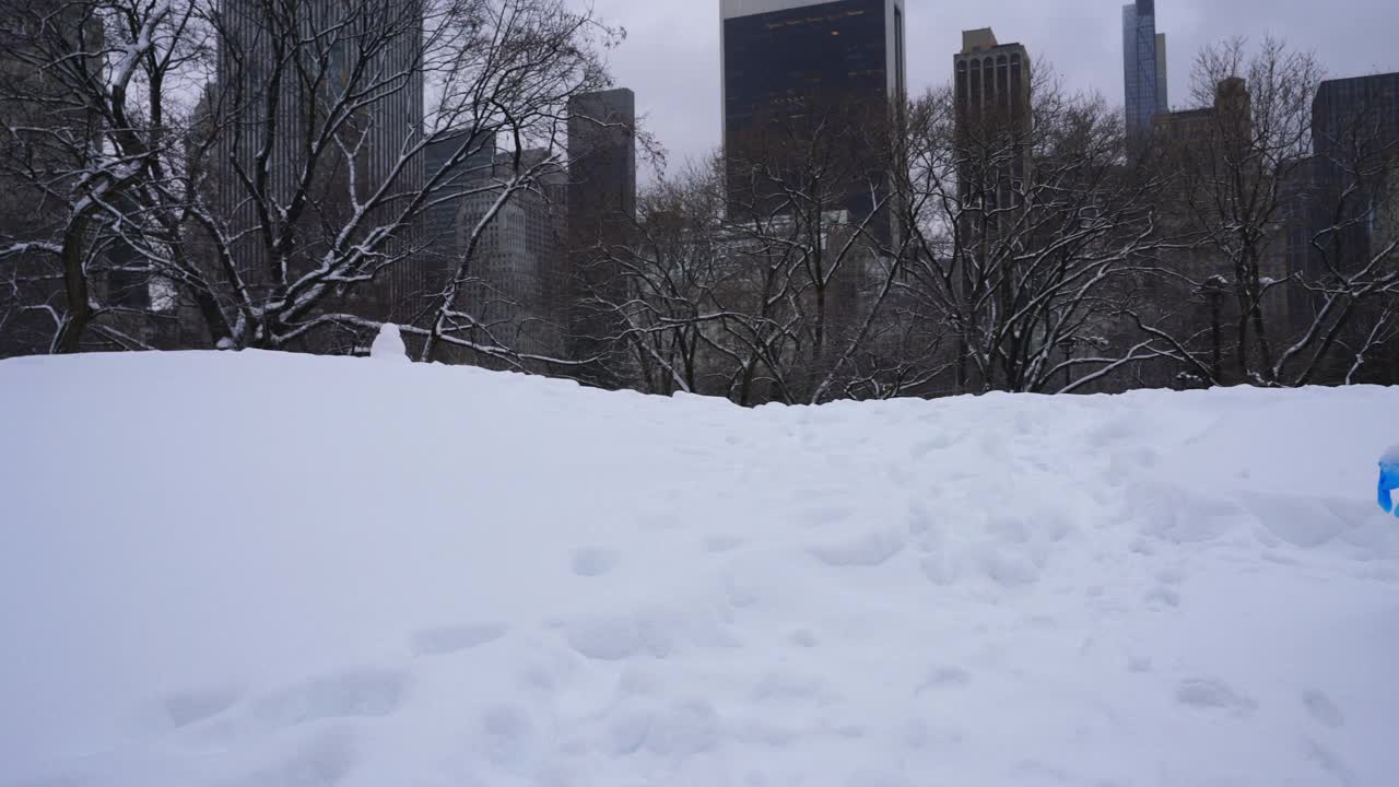 2019冠状病毒病(COVID-19)大流行期间，纽约市遭遇严重冬季暴风雪。视频下载