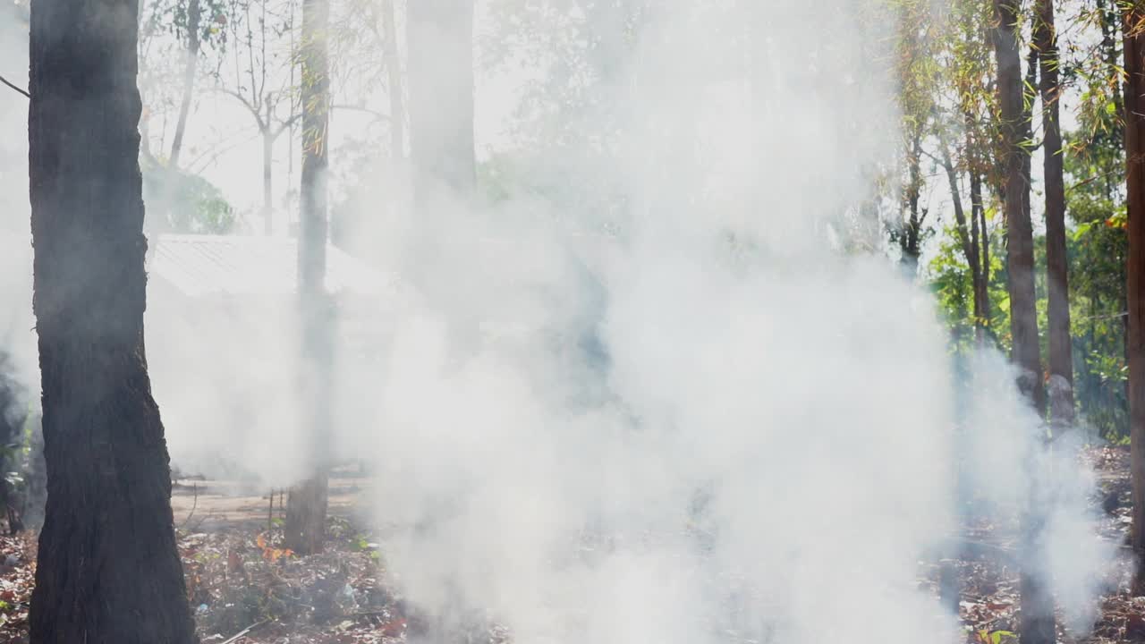 山上燃烧的大火在森林中飘浮着烟雾视频素材