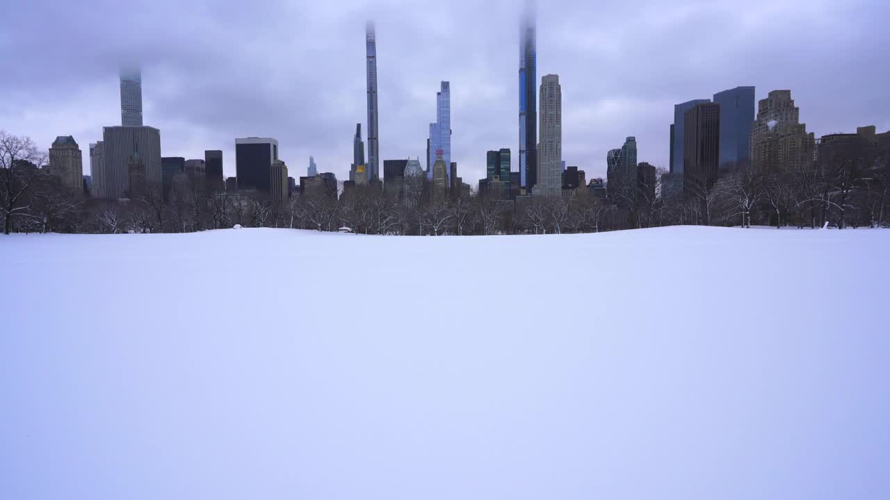 在2021年新冠肺炎大流行期间，纽约市中央公园遭遇严重冬季暴风雪。在2021年COVID-19大流行期间袭击纽约市。视频下载