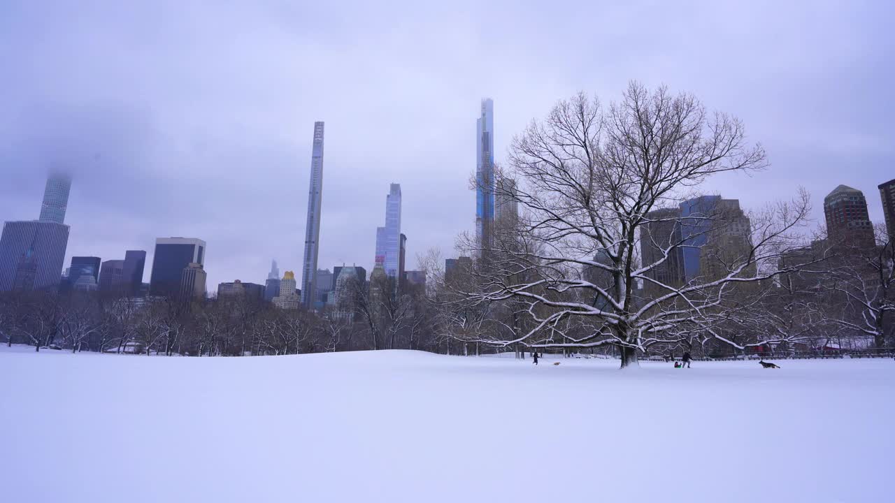 在2021年新冠肺炎大流行期间，纽约市中央公园遭遇严重冬季暴风雪。在2021年COVID-19大流行期间袭击纽约市。视频下载