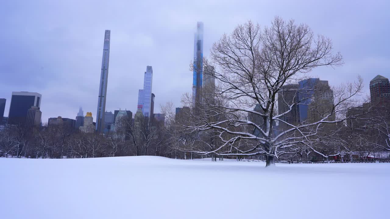 在2021年新冠肺炎大流行期间，纽约市中央公园遭遇严重冬季暴风雪。在2021年COVID-19大流行期间袭击纽约市。视频素材