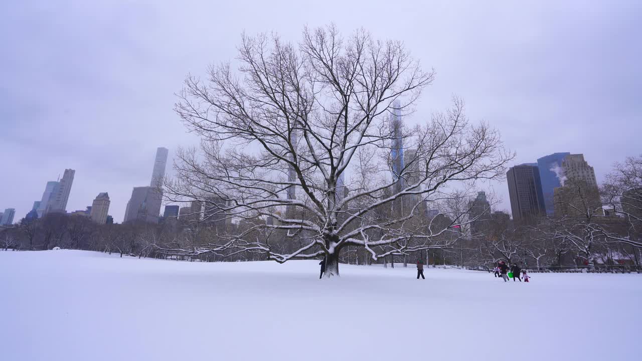 在2021年新冠肺炎大流行期间，纽约市中央公园遭遇严重冬季暴风雪。在2021年COVID-19大流行期间袭击纽约市。视频素材