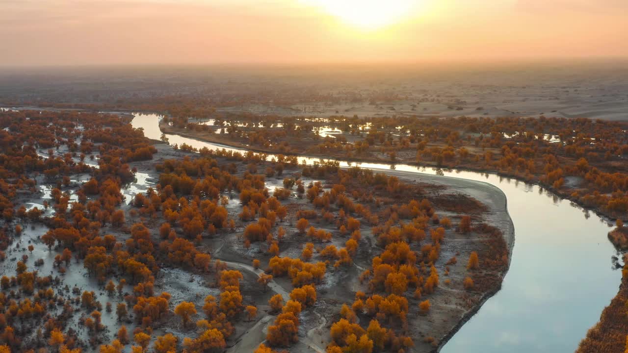 塔里木河流经塔克拉玛干沙漠，河两岸是胡杨林视频下载