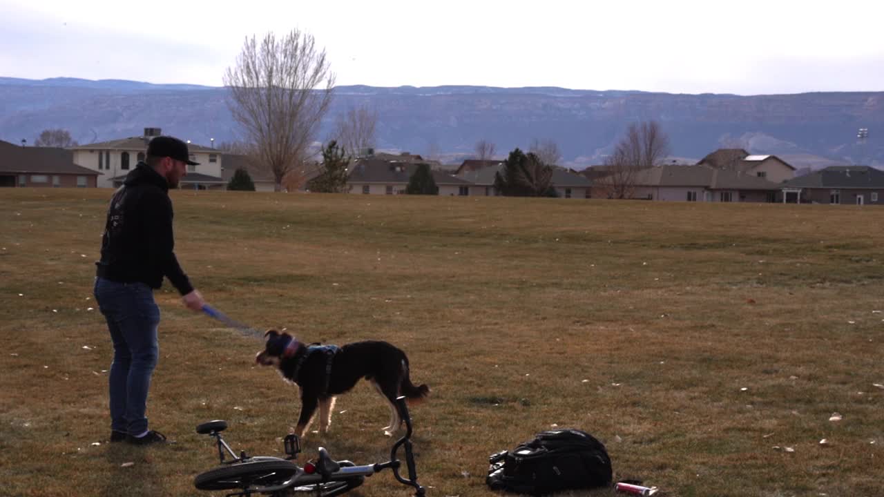 狗和他的主人在公园里玩捡球视频素材