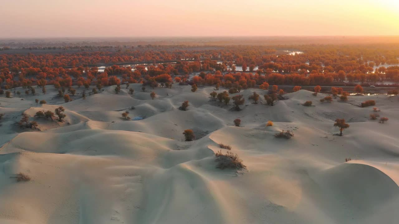 塔里木河流经塔克拉玛干沙漠，河两岸是胡杨林视频下载