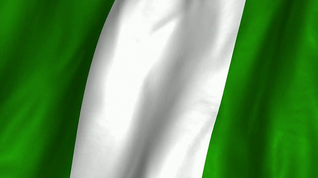 尼日尔利亚，挥舞旗帜，绕圈视频下载