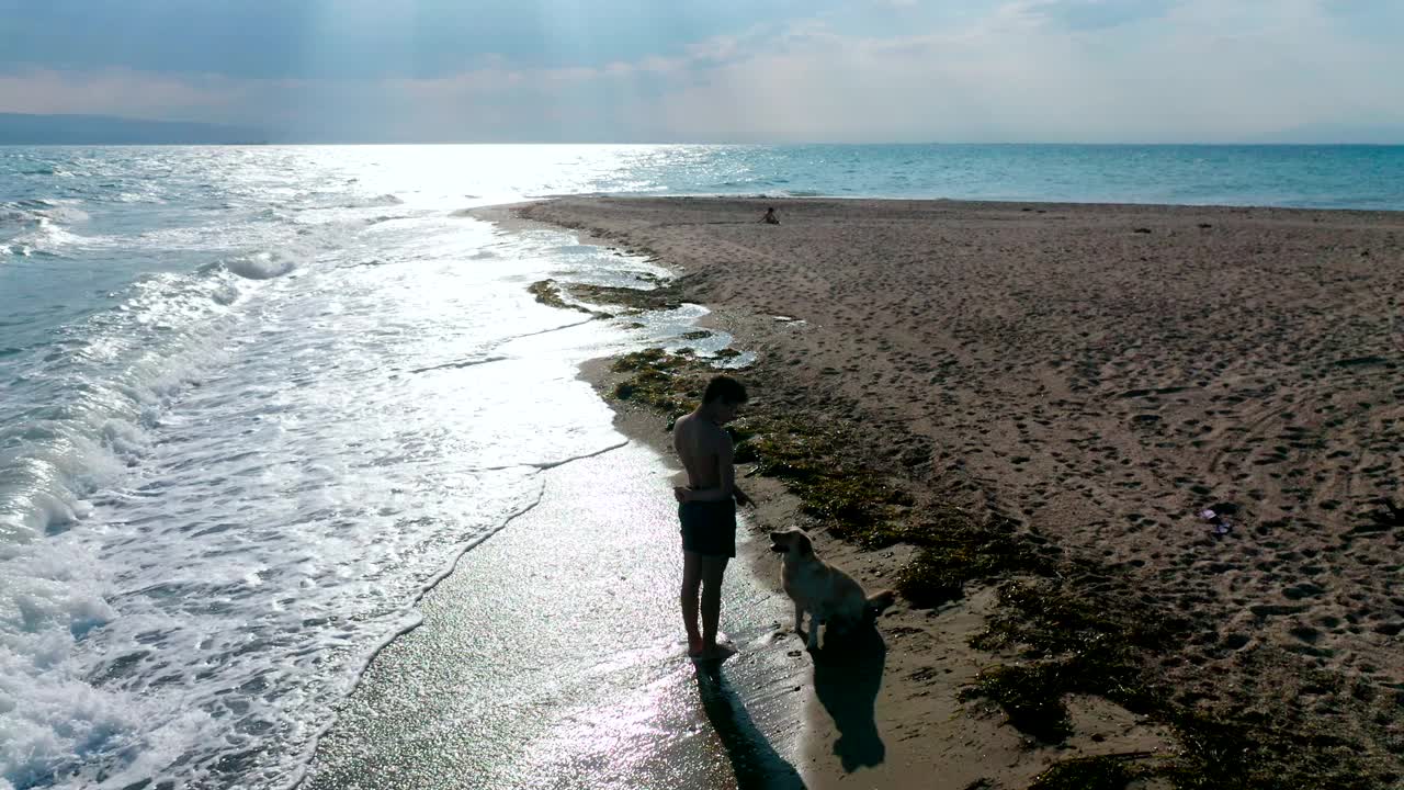 男孩和狗在海滩上视频下载
