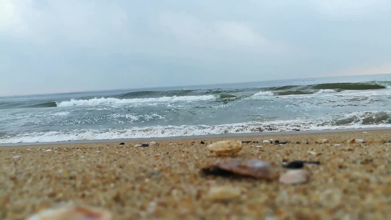 贝壳在海滩。海滩上的贝壳摄影。海滩上的贝壳。蓝色的大海，海浪和海滩。碧波荡漾，碧波荡漾。蓝色阳光明媚的海滩视频素材