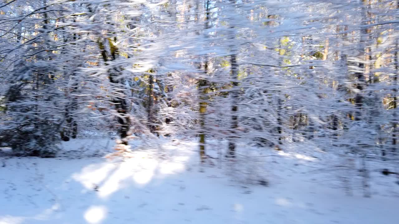 从车窗看冬天下雪的森林视频下载