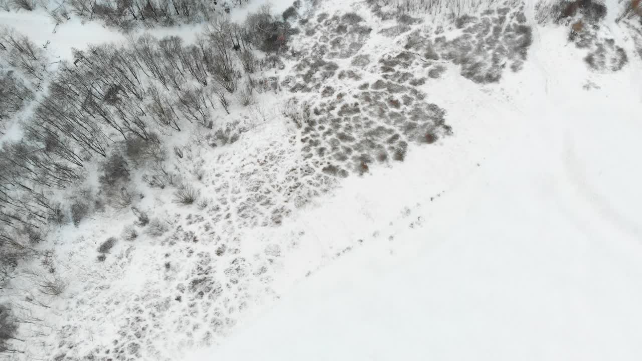 无人机拍摄的柏林图费尔斯堡周围的降雪景视频素材