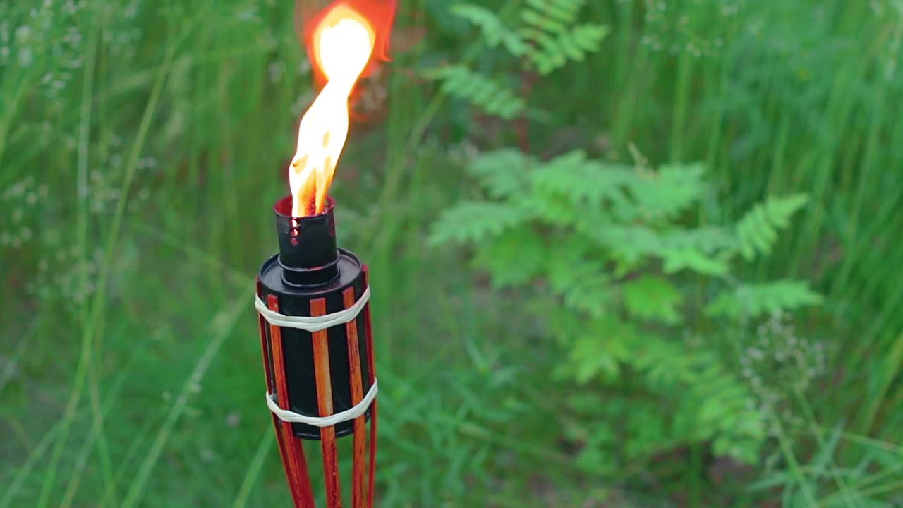 在森林中燃烧的油料竹炬视频下载