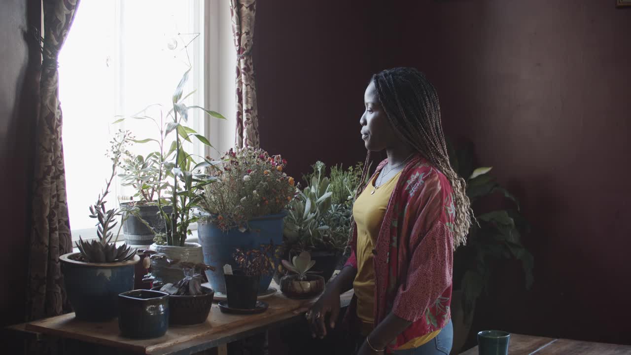 年轻女子照顾她的室内植物视频素材