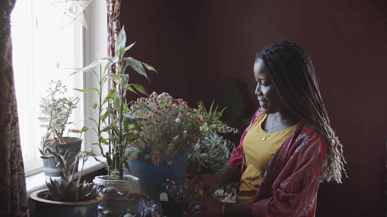 年轻女子照顾她的室内植物视频下载