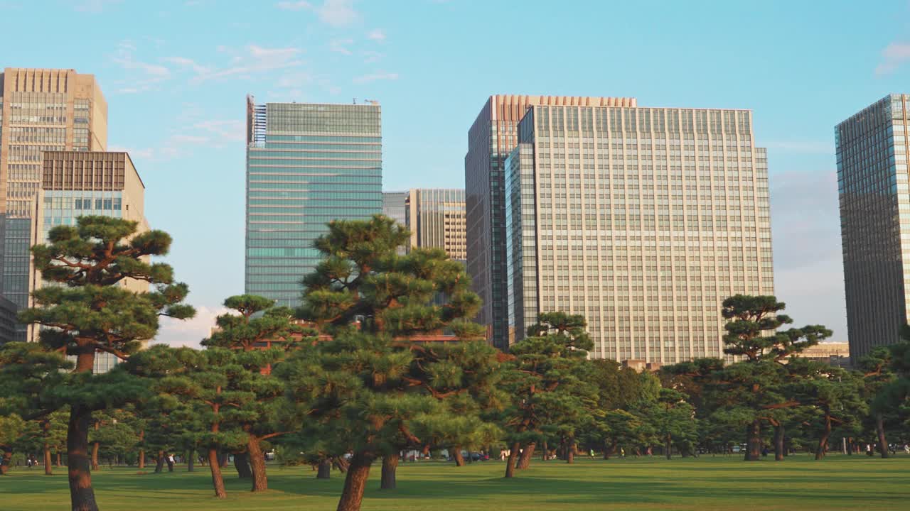东京的摩天大楼在东京新宿市中心和商业区在早上在东京，日本视频素材