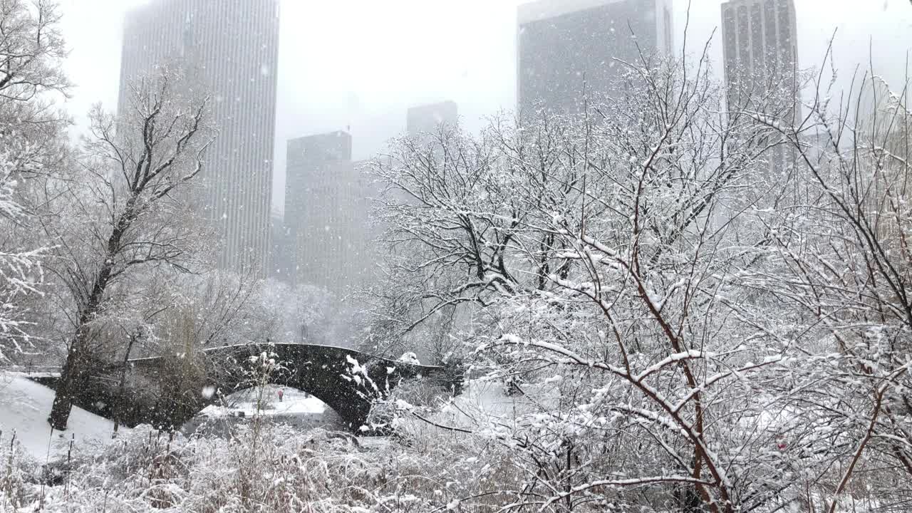 雪中央公园-天际线和桥视频素材