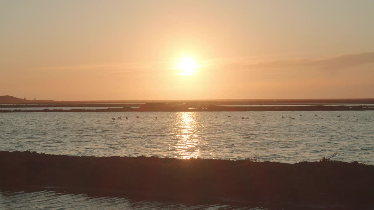 日落在伊比沙岛火烈鸟视频下载