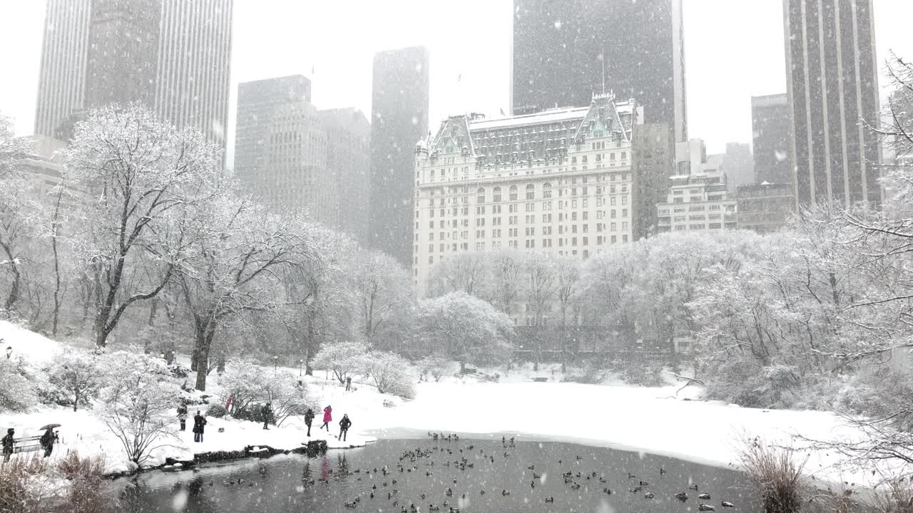 雪域中央公园-公园广场酒店视频素材