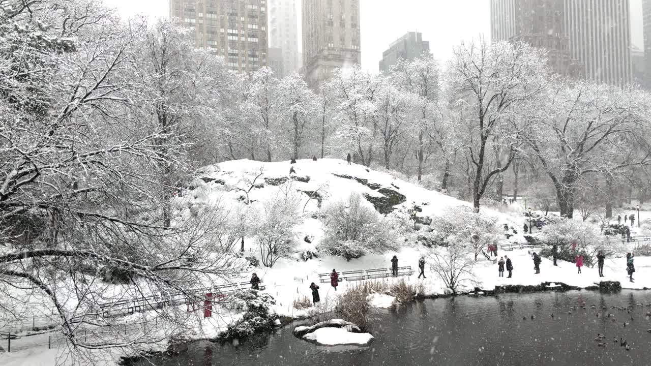雪中央公园-山，树，和建筑物视频素材
