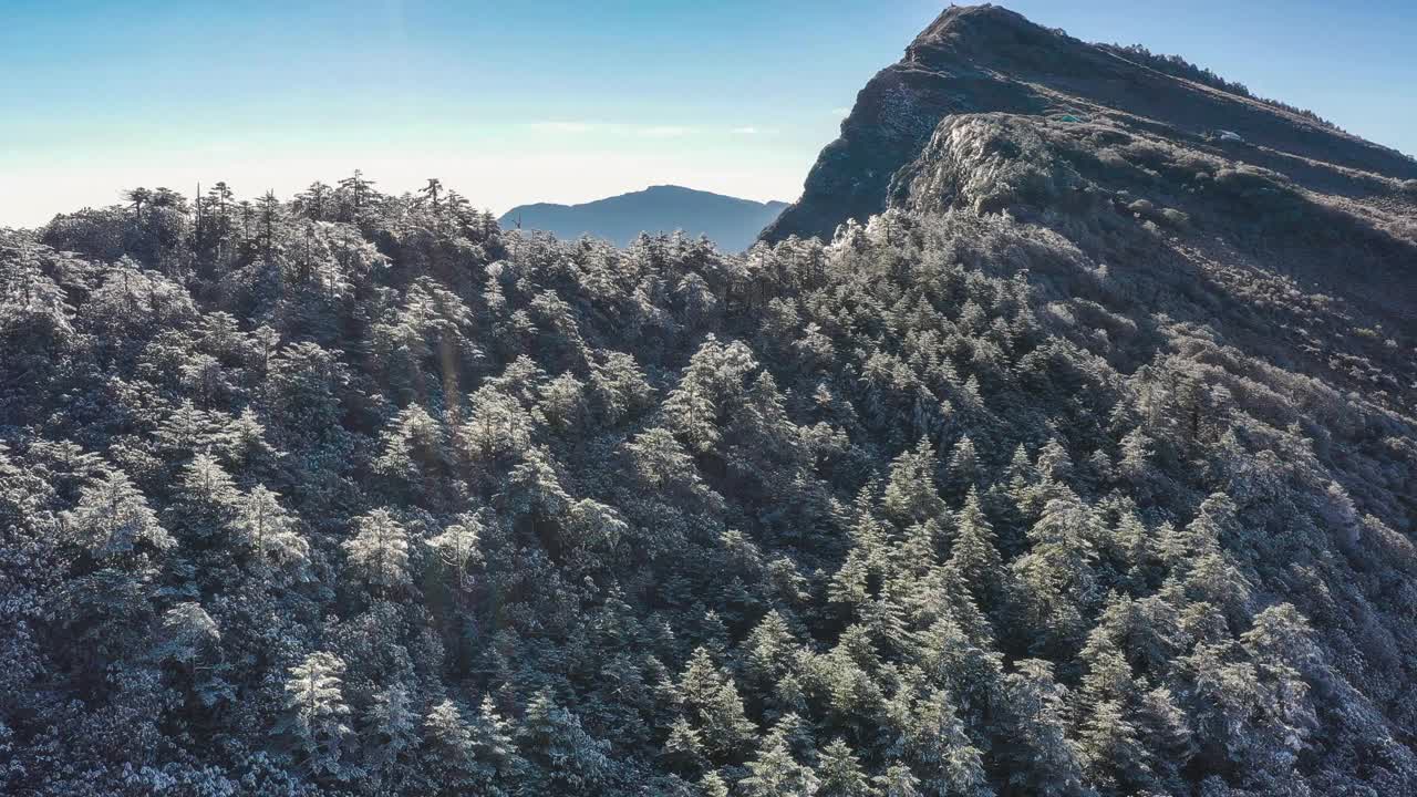 一场大雪把山上的森林染成了白色视频下载