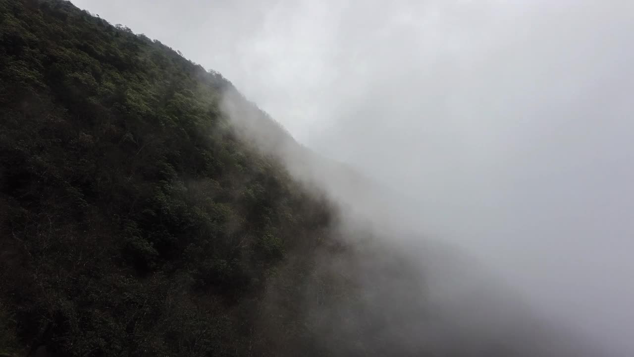 云层覆盖着草原和森林视频素材