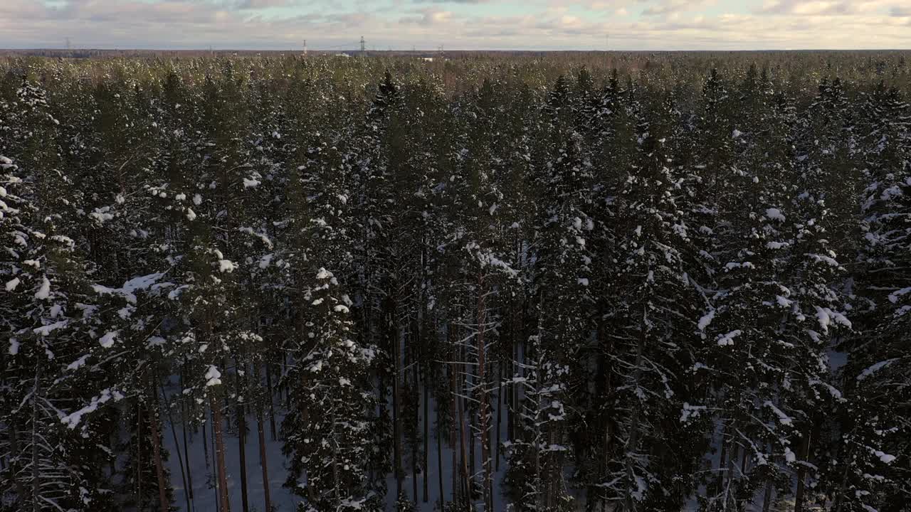 冬天的风景视频素材