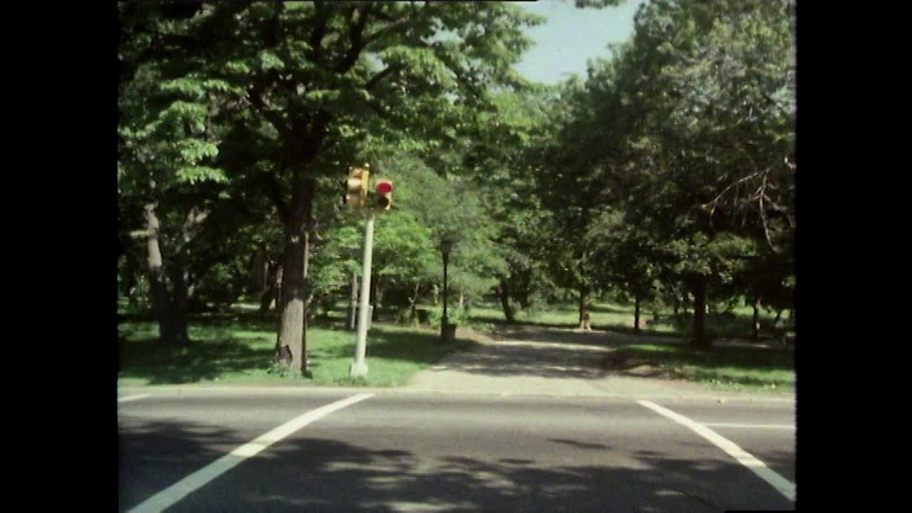 空旷、安静的中央公园，清晨有松鼠出没;1980视频素材