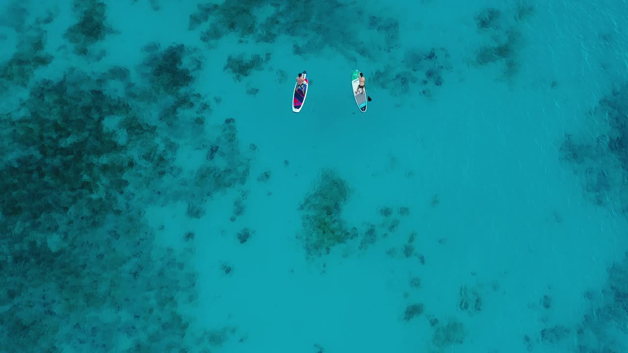 鸟瞰图的游客做站立桨板在水晶清澈碧绿的海洋在日落坦桑尼亚桑给巴尔岛视频下载