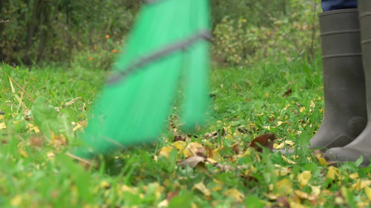 园丁在橡胶靴扫与绿色扫帚秋天的树叶视频素材