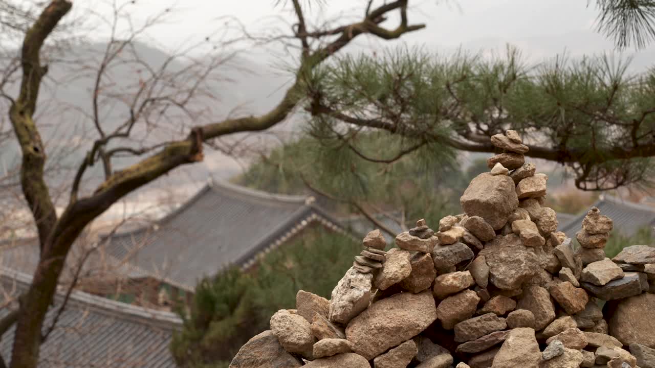 传统屋顶瓦片、松树和石塔/韩国视频素材