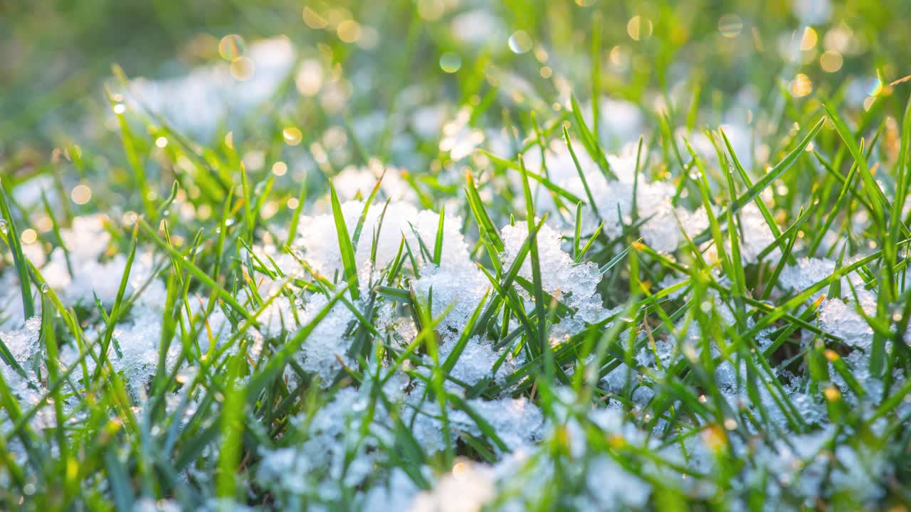 春天草地上融化的雪视频素材