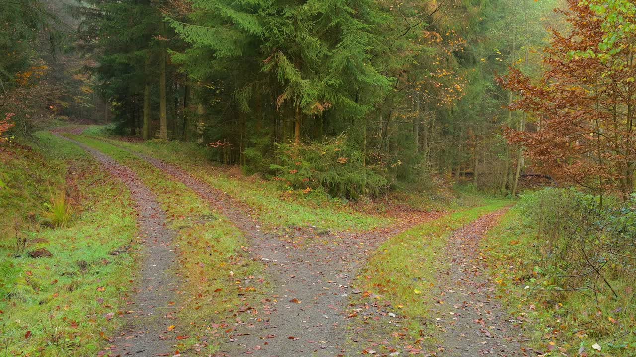 德国黑塞奥登瓦尔德，维尔布伦，Michelstadt，维尔布伦秋天的森林小径分叉视频下载