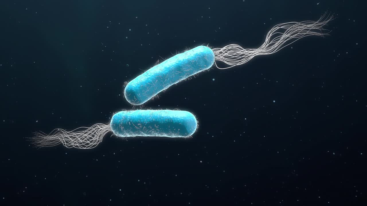 两种蓝色的多重耐药铜绿假单胞菌- 3d插图视频下载