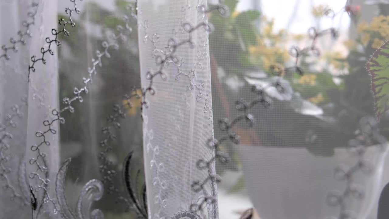 阳光从复古蕾丝薄纱，波浪和褶皱上挂织物。窗台上白色花盆里的花。视频素材