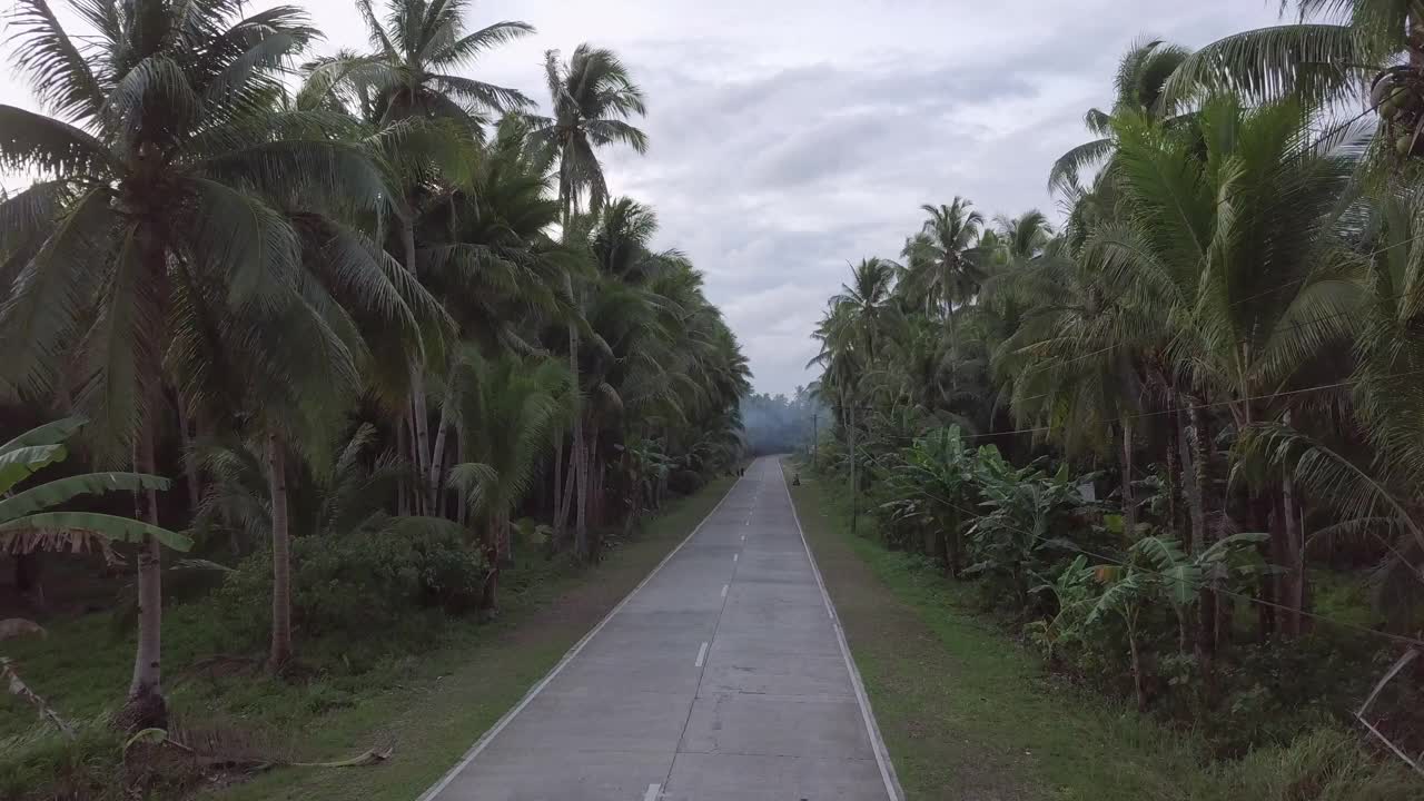 航拍的人们在棕榈树中间的公路上骑摩托车旅行- Siargao，菲律宾视频下载