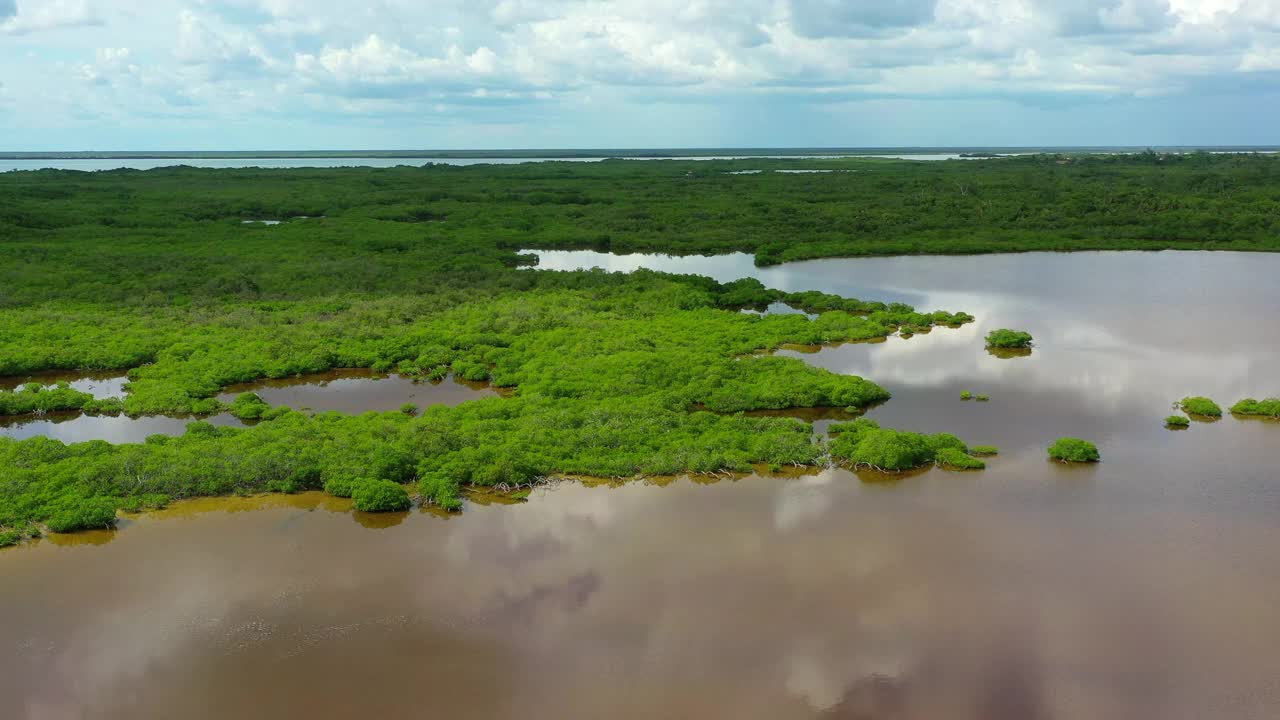 空中拍摄的海洋和树木对天空，无人机向后飞行在水上-彭塔艾伦，墨西哥视频下载