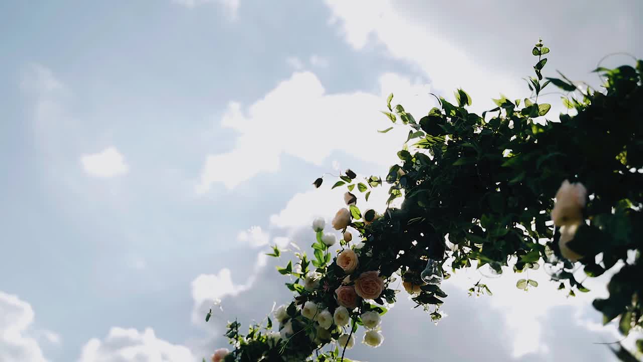天空映衬着一大片美丽的鲜花拱门。在活动中射击一个目标视频素材