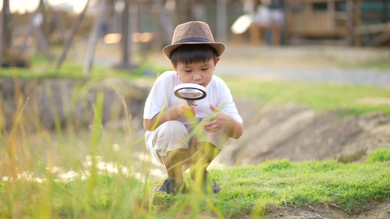 孩子在农场用放大镜在户外学习和玩耍。概念、自我学习和环境视频素材