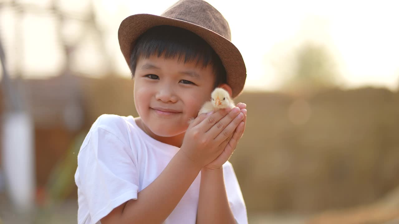亚洲小孩和他的宠物，小鸡玩。友谊的概念视频下载