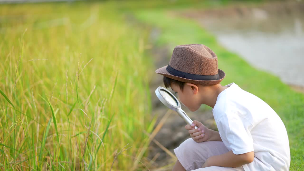 孩子在农场用放大镜在户外学习和玩耍。概念、自我学习和环境视频素材