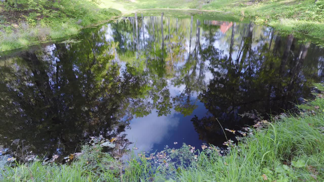 倒影在水中的一个池塘的树木在公园里视频下载