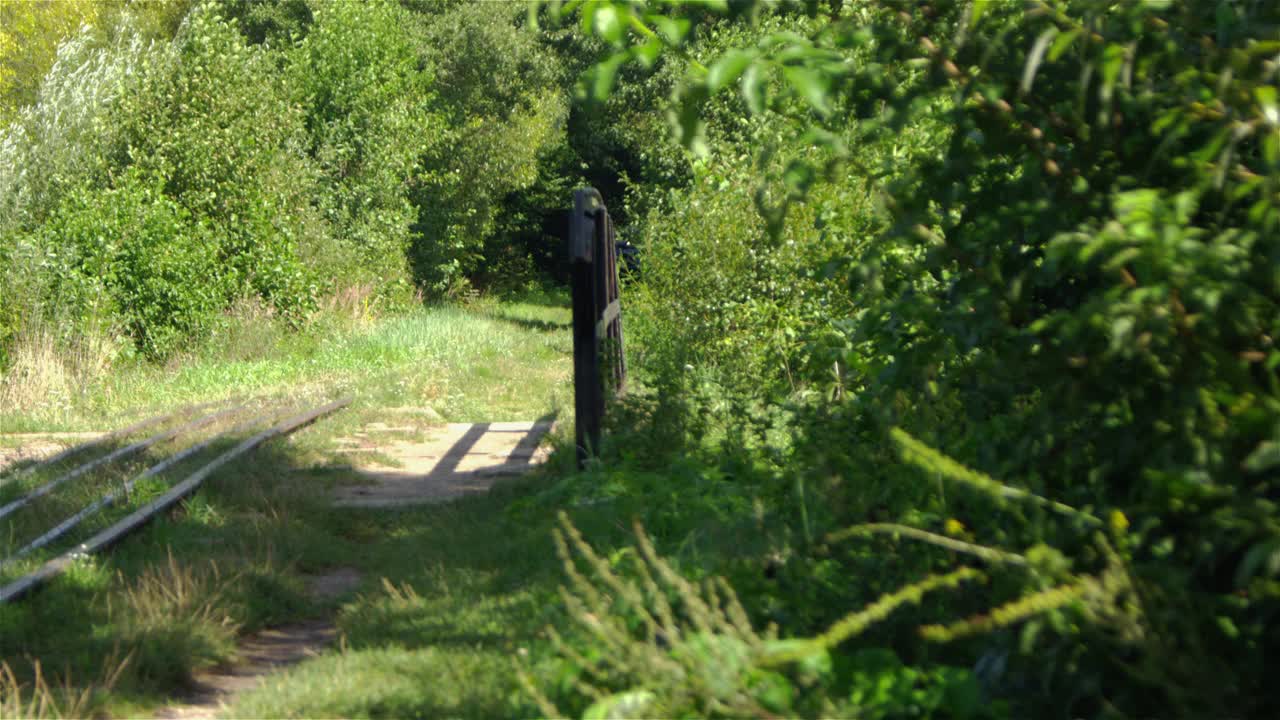 古老的旅游火车穿过Białowieża森林。鸟瞰图视频下载