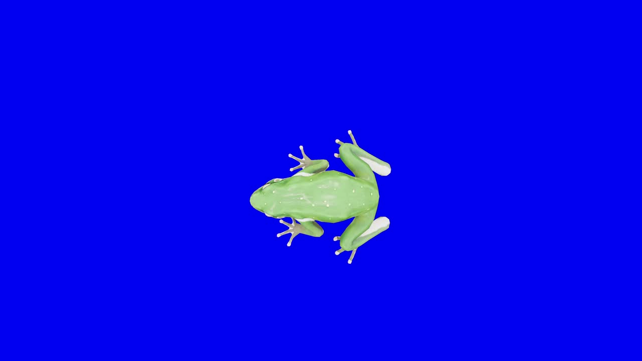 垂死的绿青蛙在蓝盒子上。概念动物、野生动物、游戏、返校、3d动画、短视频、电影、卡通、有机、色度键、角色动画、设计元素、可循环视频素材