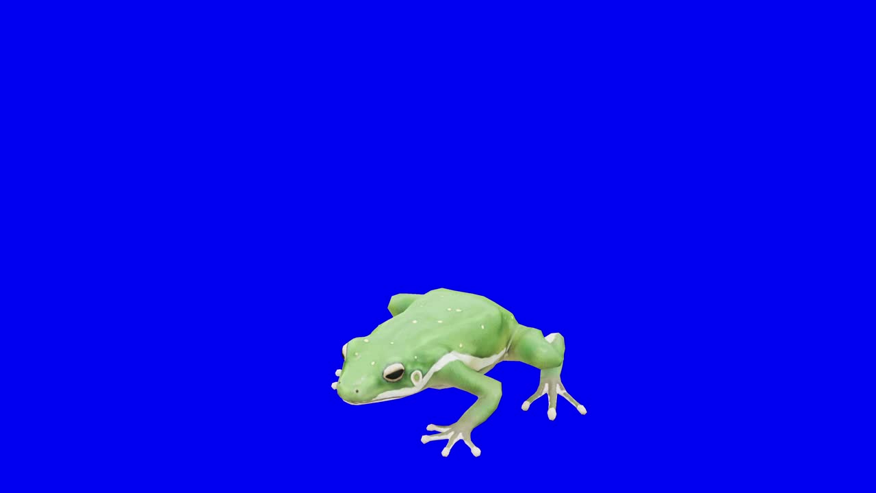 垂死的绿青蛙在蓝盒子上。概念动物、野生动物、游戏、返校、3d动画、短视频、电影、卡通、有机、色度键、角色动画、设计元素、可循环视频素材