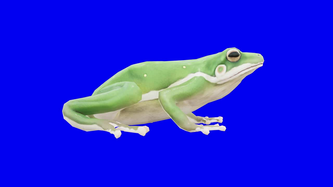 空闲的绿色青蛙在蓝盒子上。概念动物、野生动物、游戏、返校、3d动画、短视频、电影、卡通、有机、色度键、角色动画、设计元素、可循环视频素材