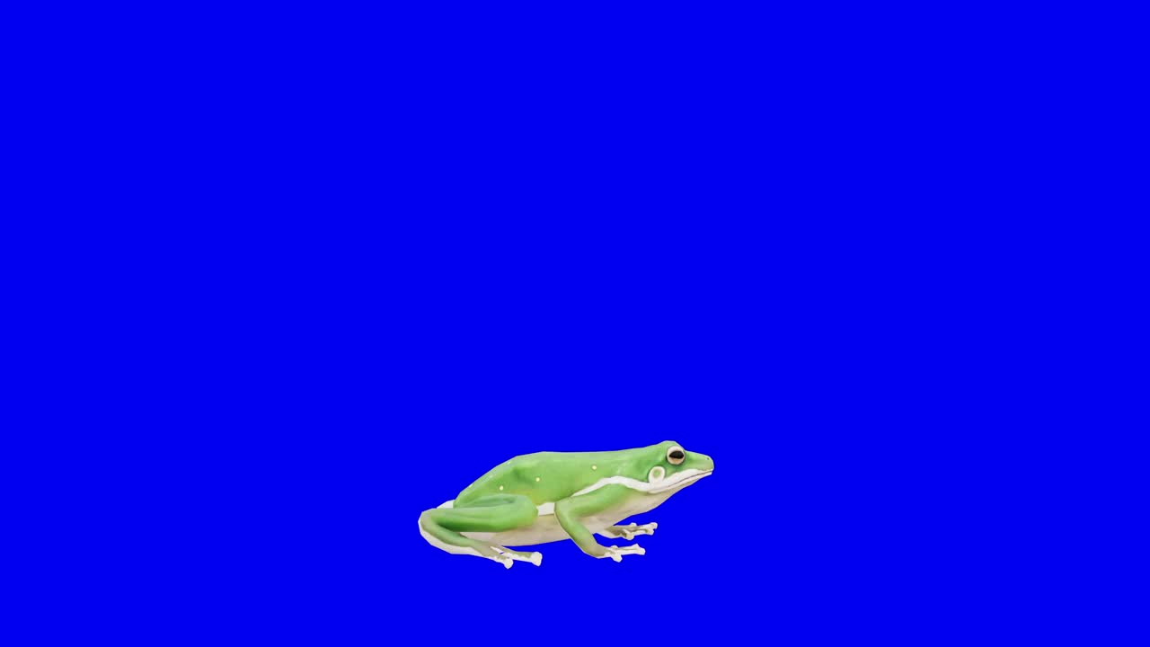 绿色的青蛙在蓝盒子上奔跑。概念动物、野生动物、游戏、返校、3d动画、短视频、电影、卡通、有机、色度键、角色动画、设计元素、可循环视频素材
