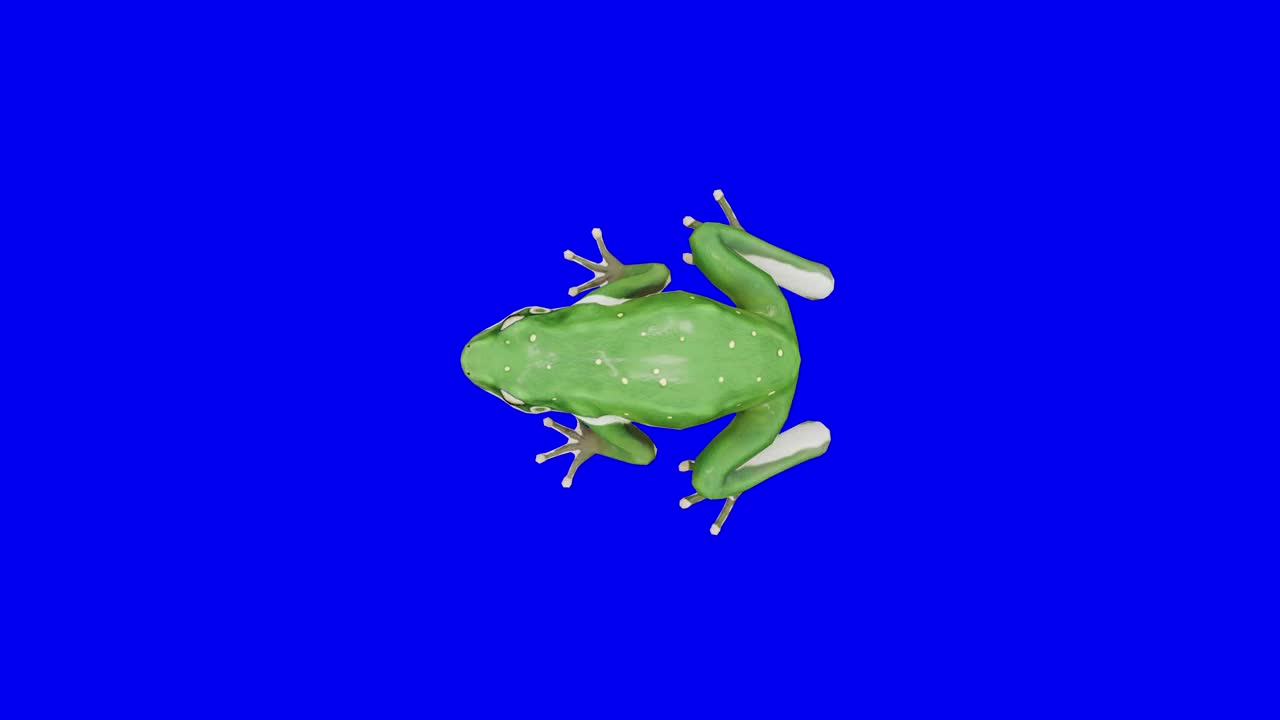 绿色的青蛙在蓝盒子上奔跑。概念动物、野生动物、游戏、返校、3d动画、短视频、电影、卡通、有机、色度键、角色动画、设计元素、可循环视频素材