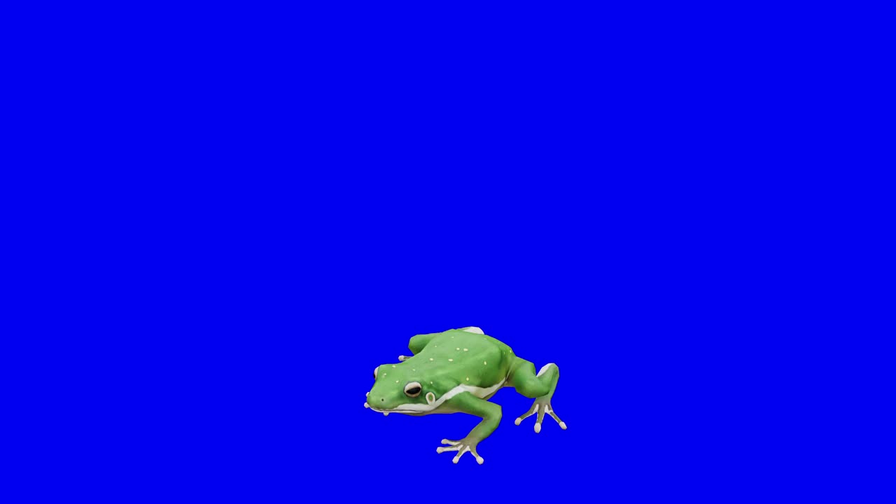 慢镜头绿色青蛙跑在蓝盒子上。概念动物、野生动物、游戏、返校、3d动画、短视频、电影、卡通、有机、色度键、角色动画、设计元素、可循环视频素材