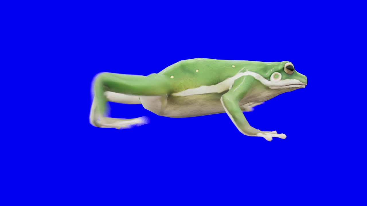走在蓝盒子上的绿色青蛙。概念动物、野生动物、游戏、返校、3d动画、短视频、电影、卡通、有机、色度键、角色动画、设计元素、可循环视频素材