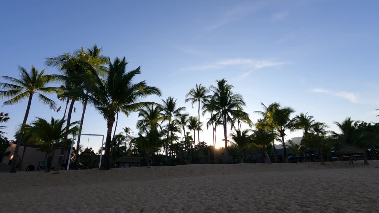 早晨的日出在白色的沙滩上异国情调的椰子树视频素材
