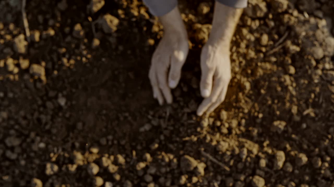 超级SLO莫法默朝相机的方向扔泥土视频下载